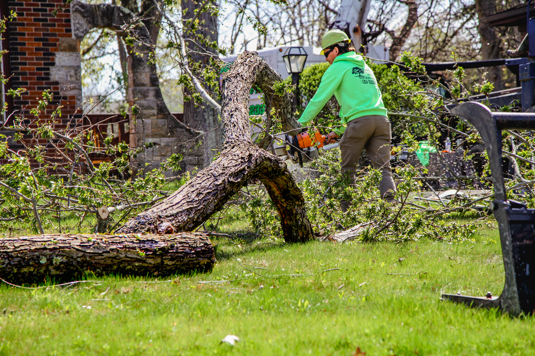 Specialty Tree & Bucket Service - Lucas, OH