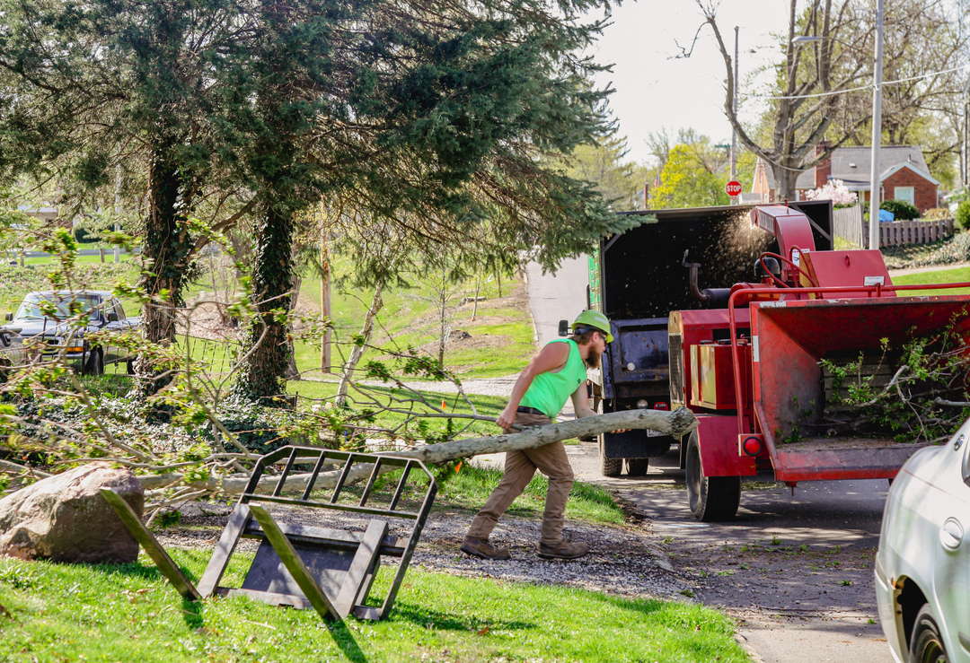 Specialty Tree & Bucket Service - Lucas, OH