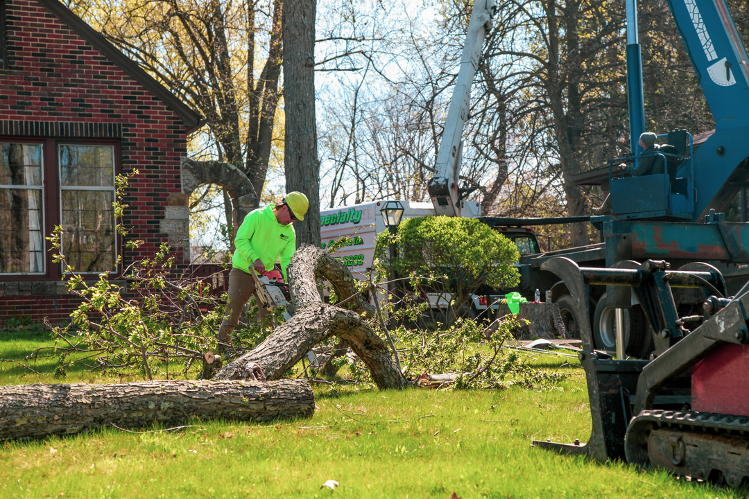 Specialty Tree & Bucket Service - Lucas, OH