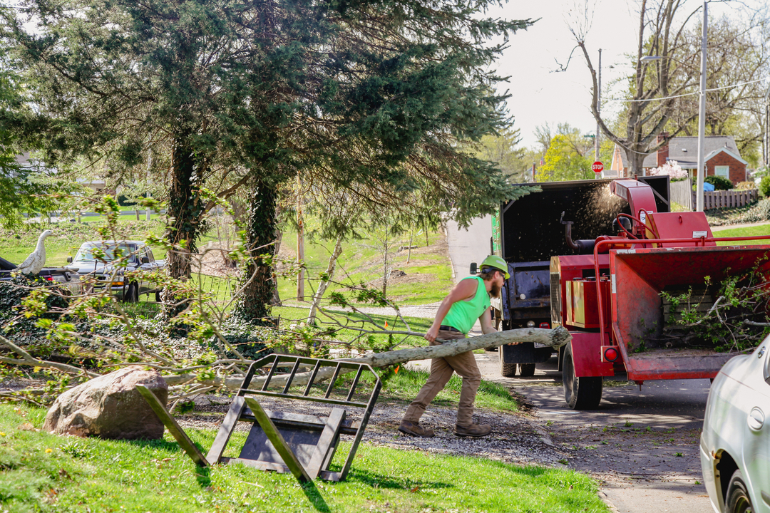 Specialty Tree & Bucket Service - Lucas, OH