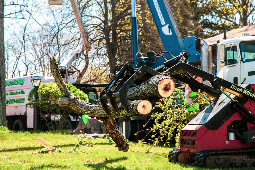 Specialty Tree & Bucket Service - Lucas, OH