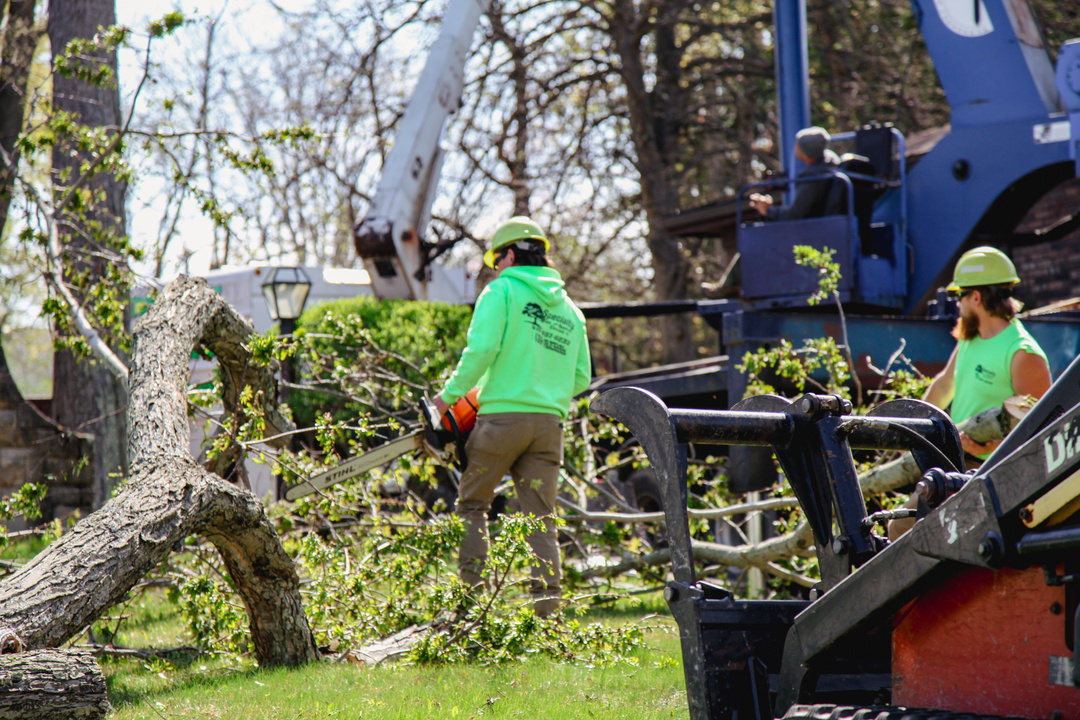 Specialty Tree & Bucket Service - Lucas, OH