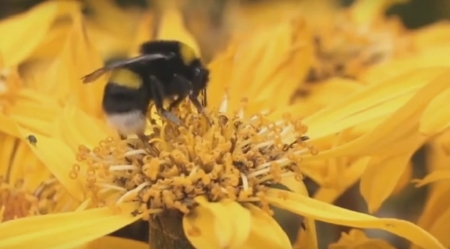 Chacko Allergy, Asthma and Sinus Center of Duluth Image