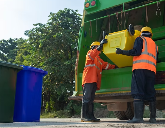 Raleigh Home Revive Image