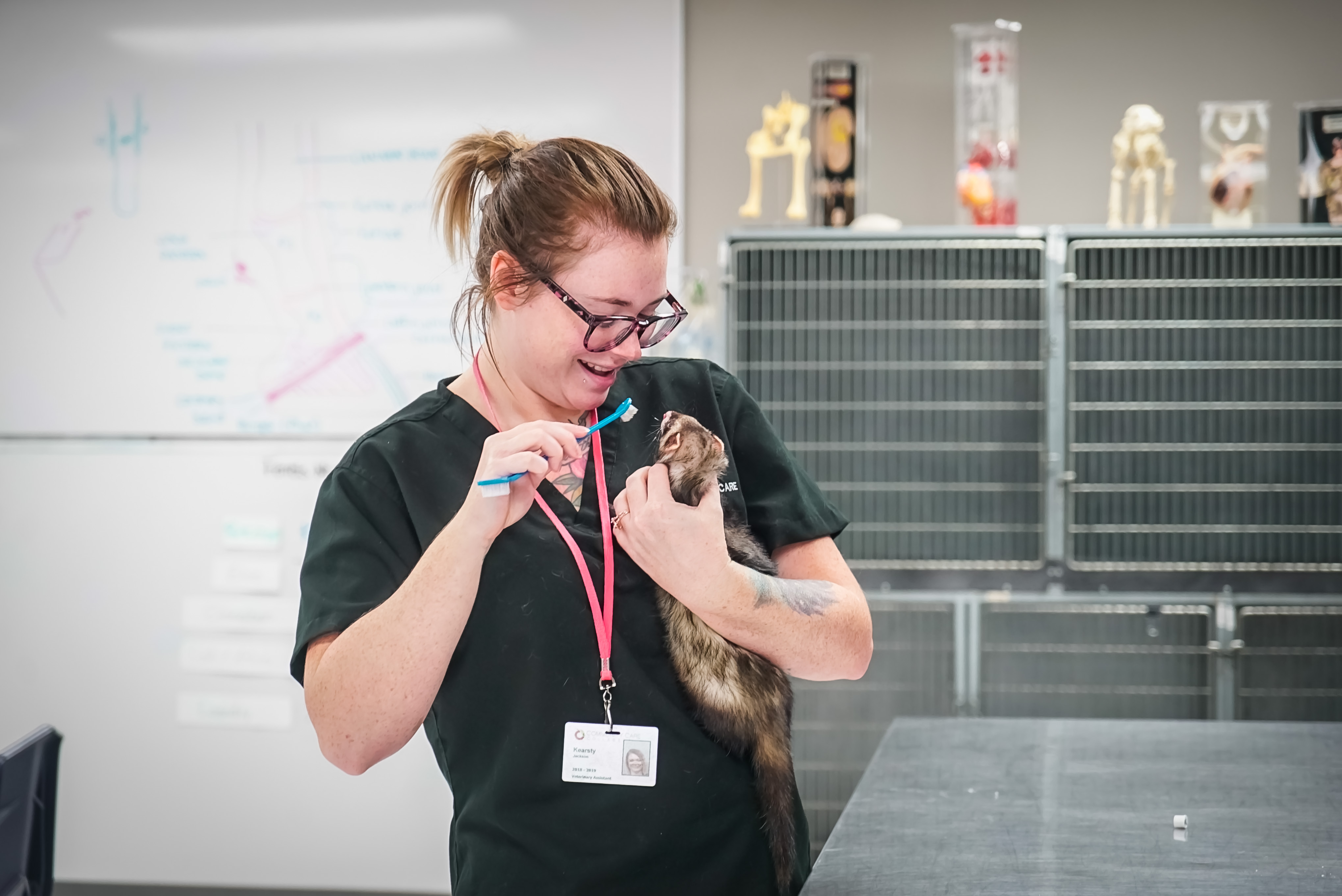 Community Care College Image