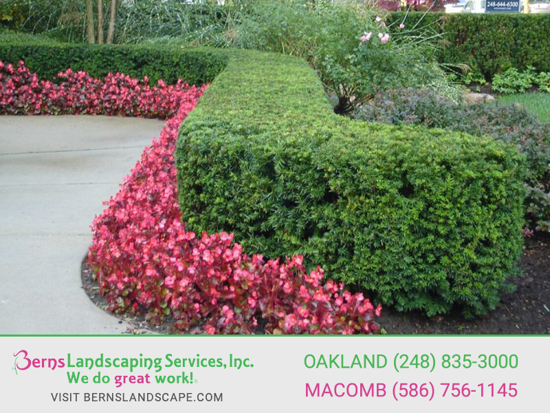 Berns Landscaping Image