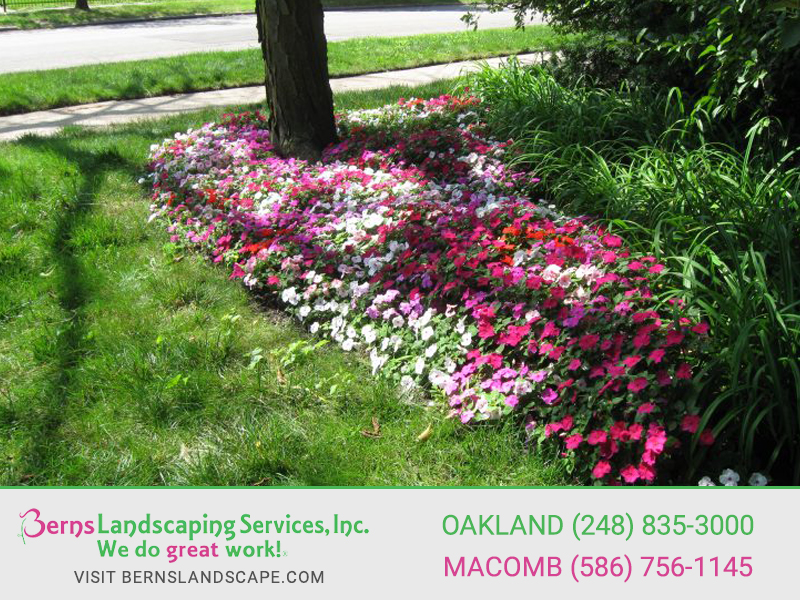 Berns Landscaping Image