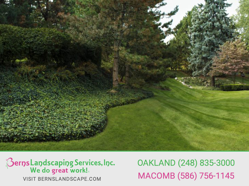 Berns Landscaping Image