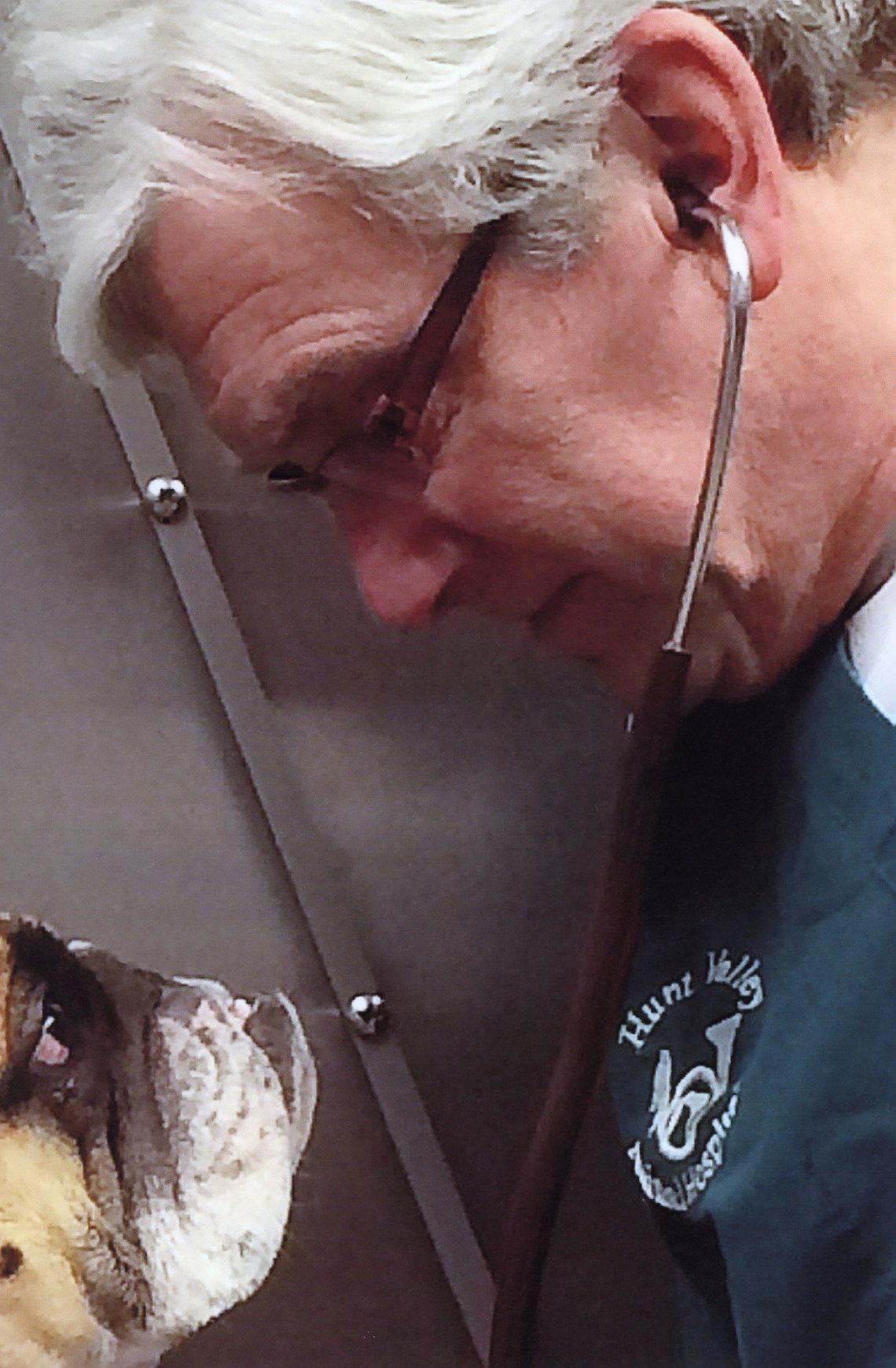 Hunt Valley Animal Hospital - Cockeysville, MD