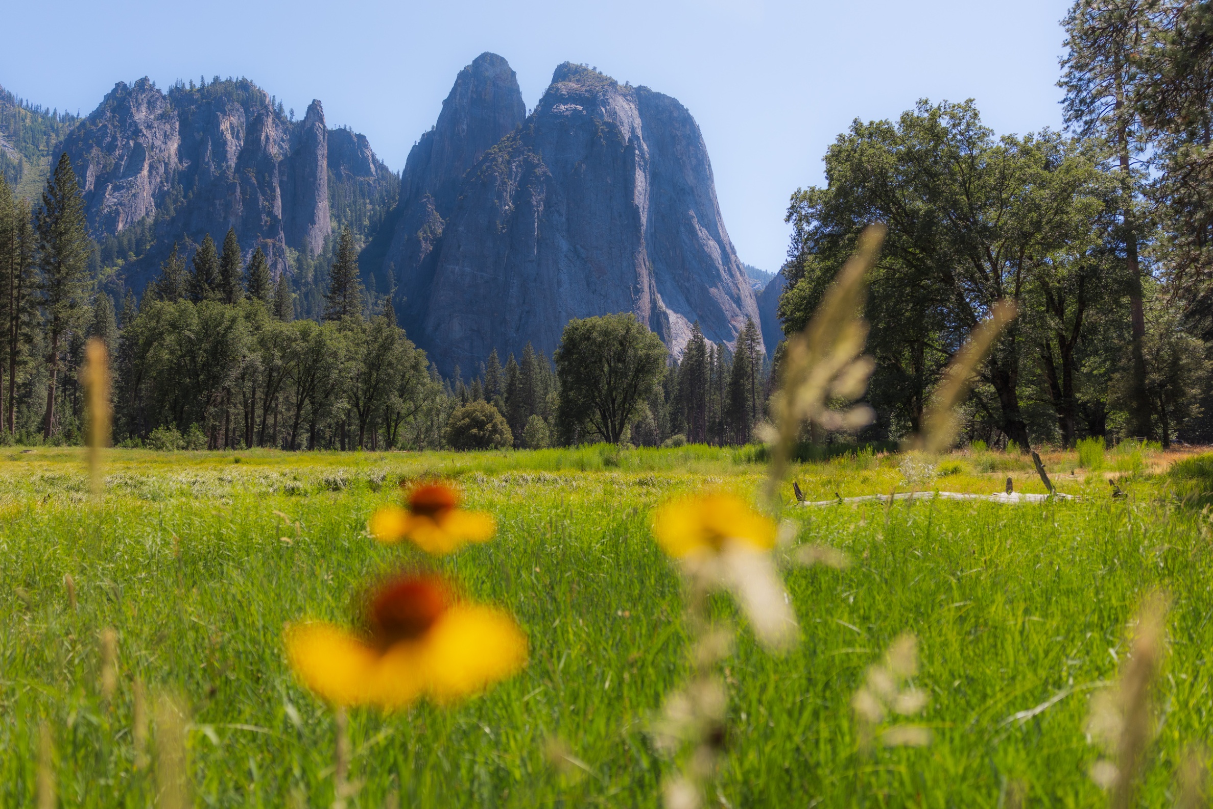 Yosemite 360 Tours Image
