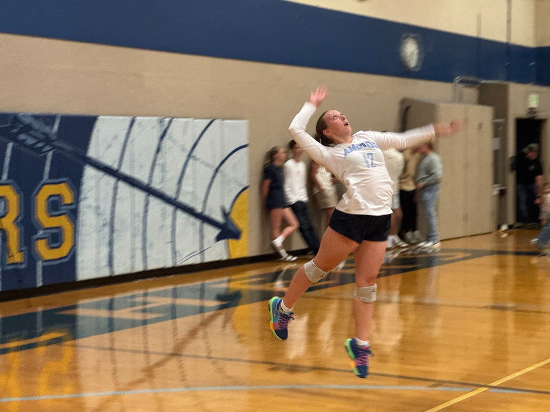 The Ambrose School Image