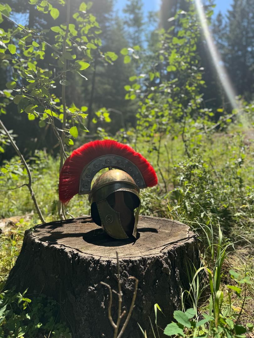 The Ambrose School Image