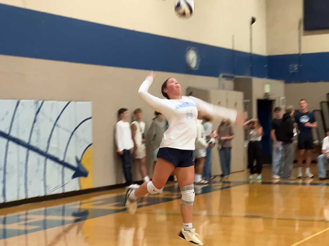 The Ambrose School Image