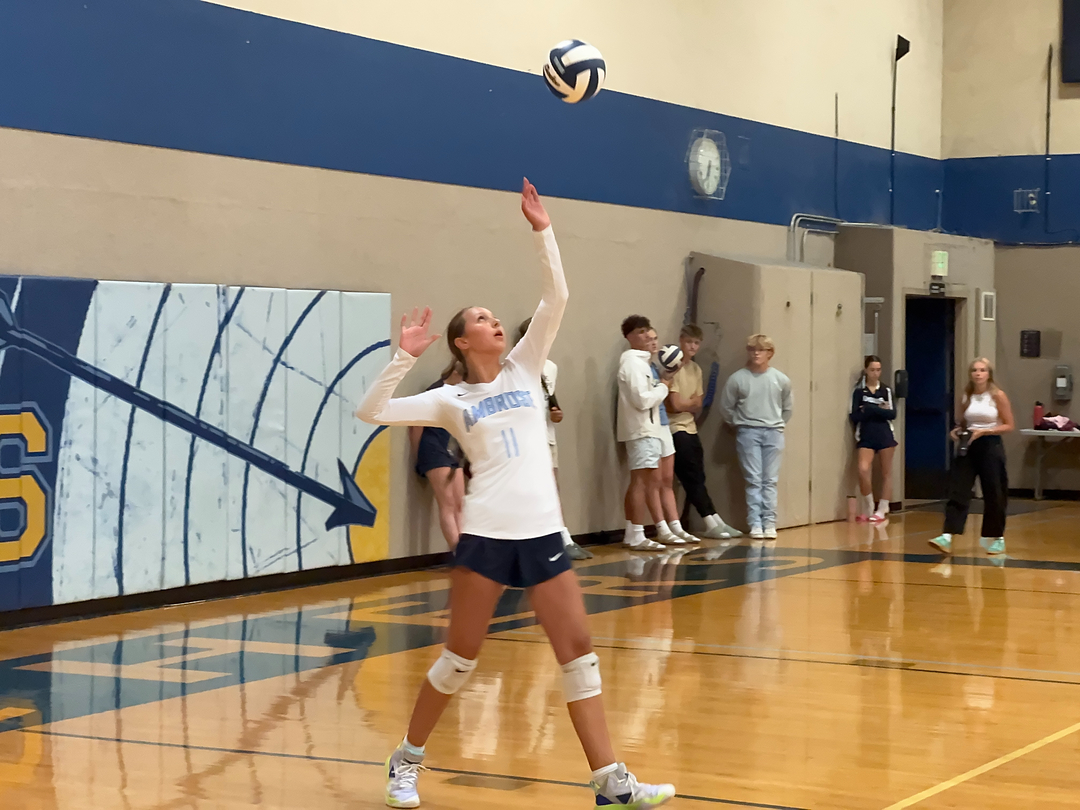 The Ambrose School Image