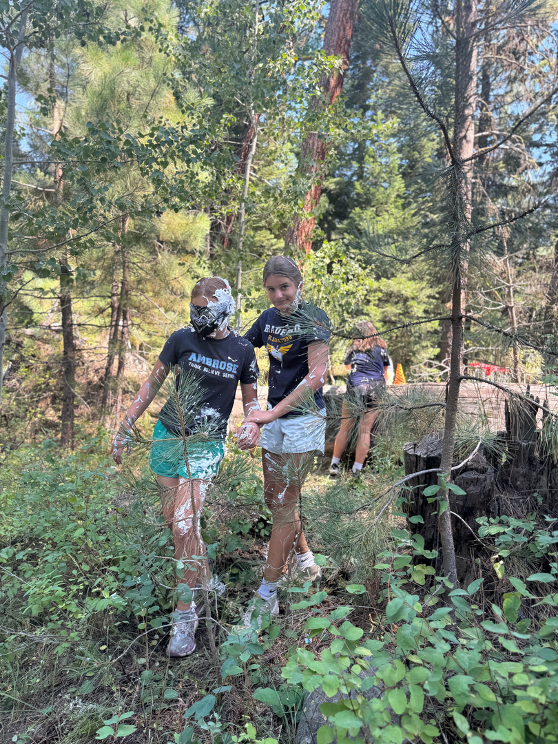 The Ambrose School Image