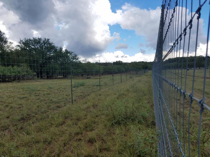 Frank Valdez Fencing Image