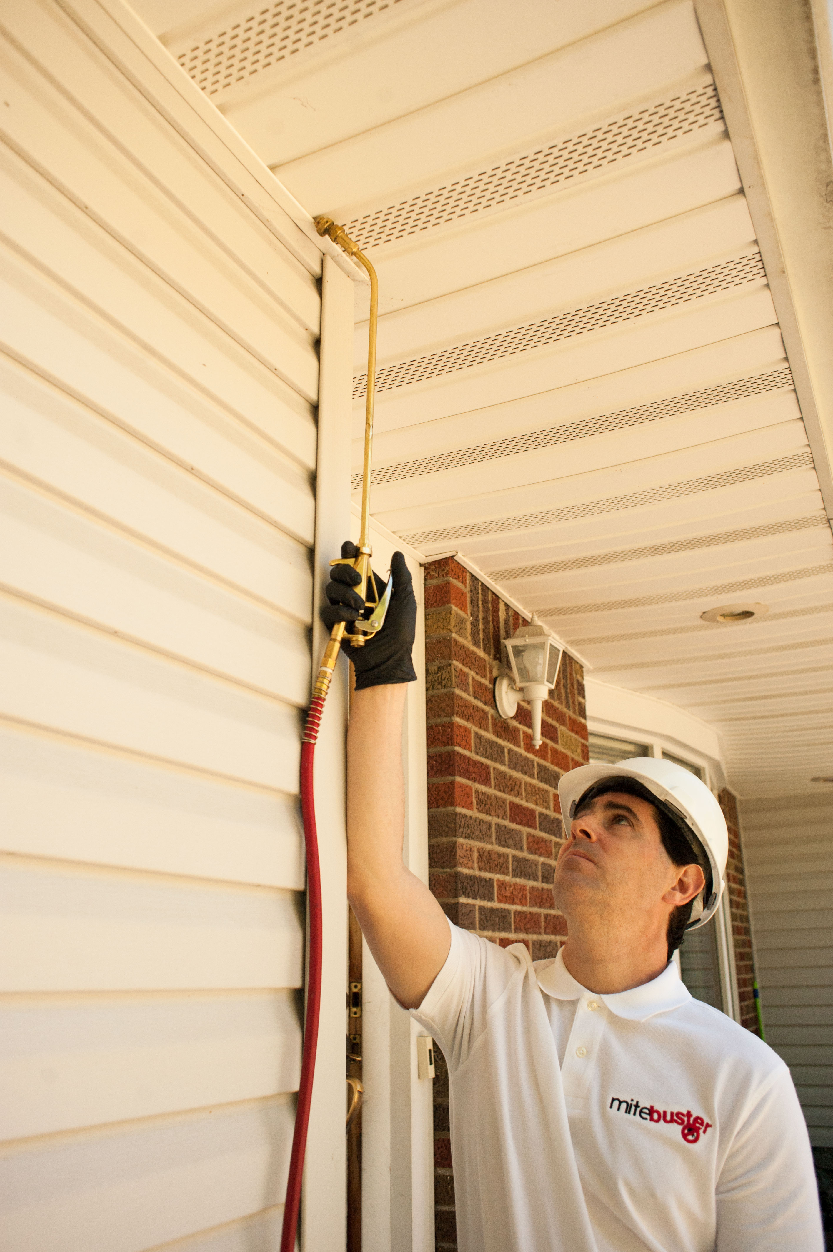 MiteBuster BedBug & Pest Control - Rochelle Park, NJ