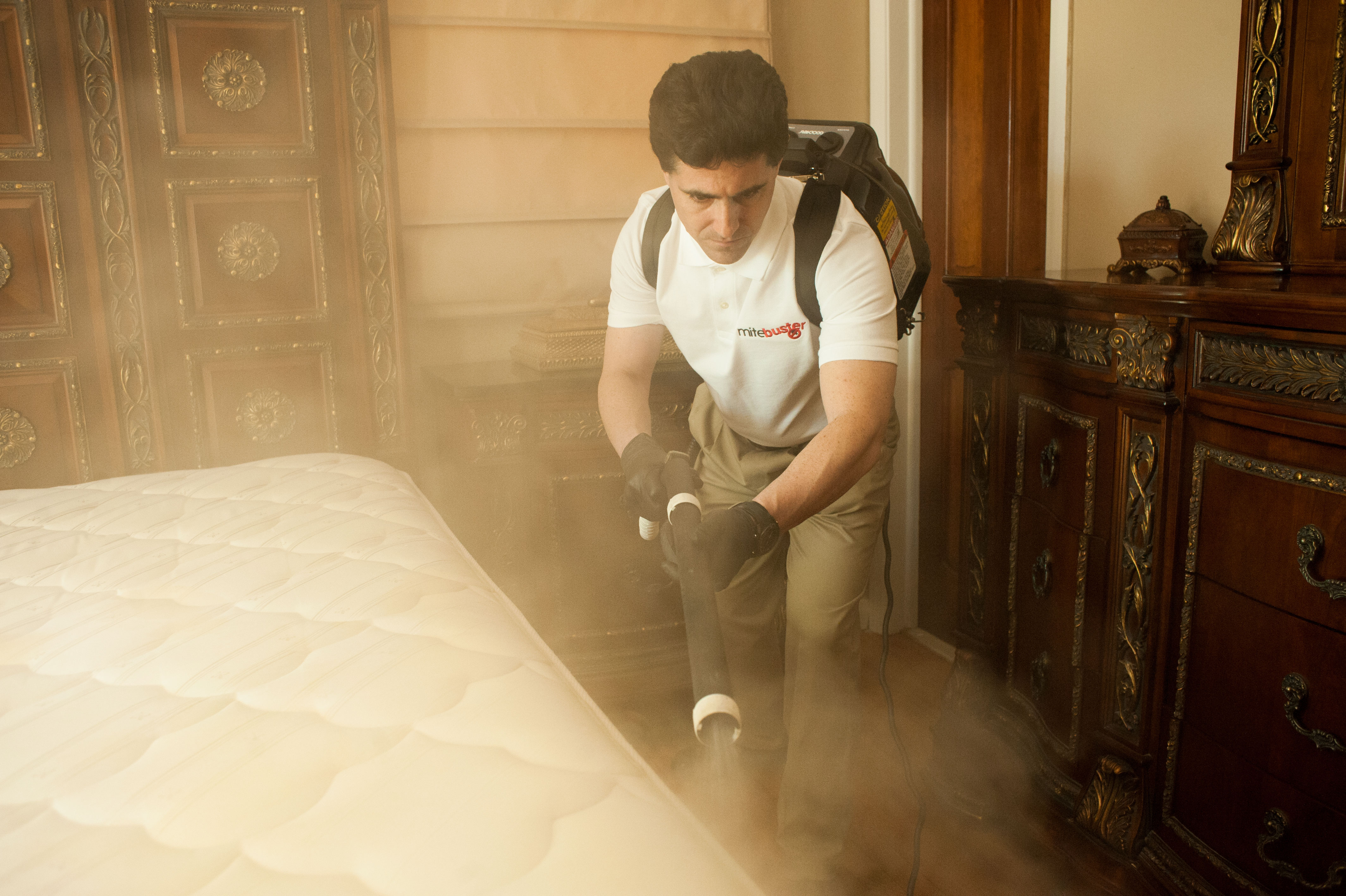 MiteBuster BedBug & Pest Control - Rochelle Park, NJ