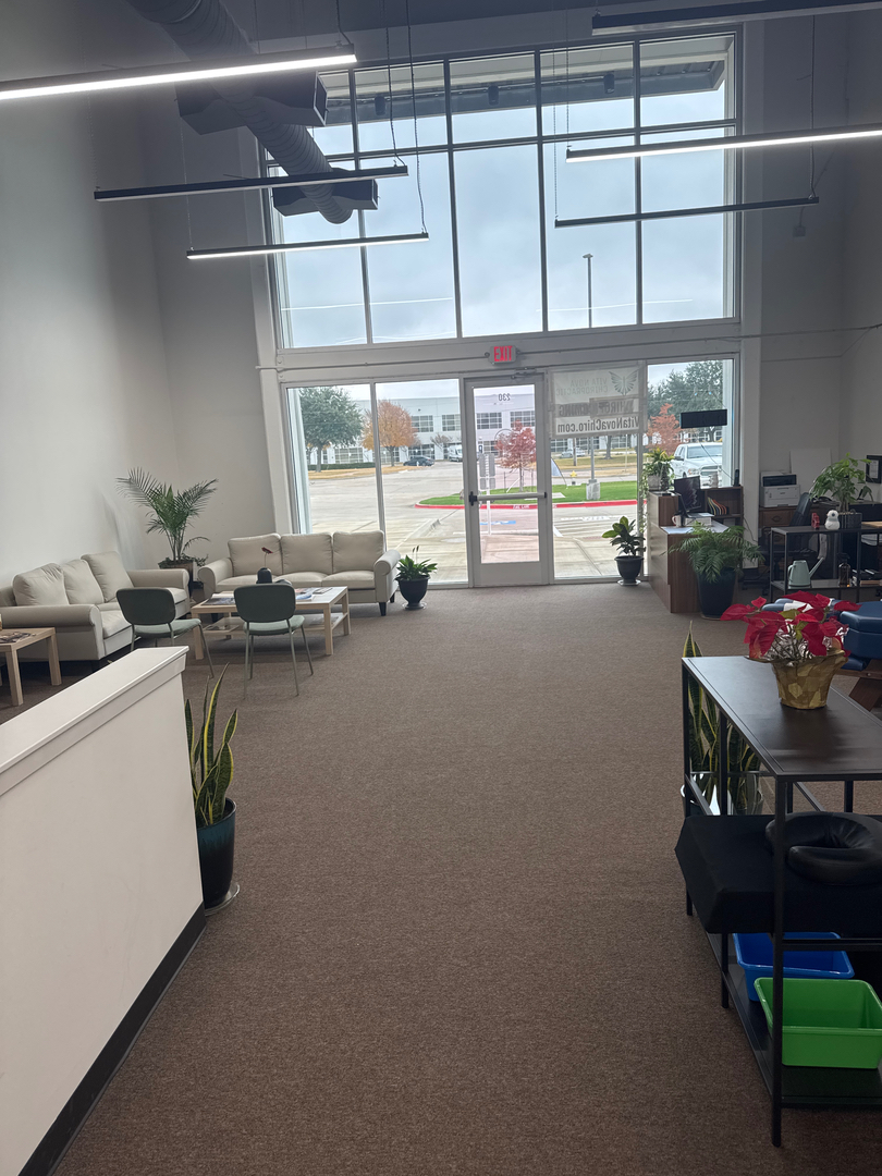 Vita Nova Chiropractic Image