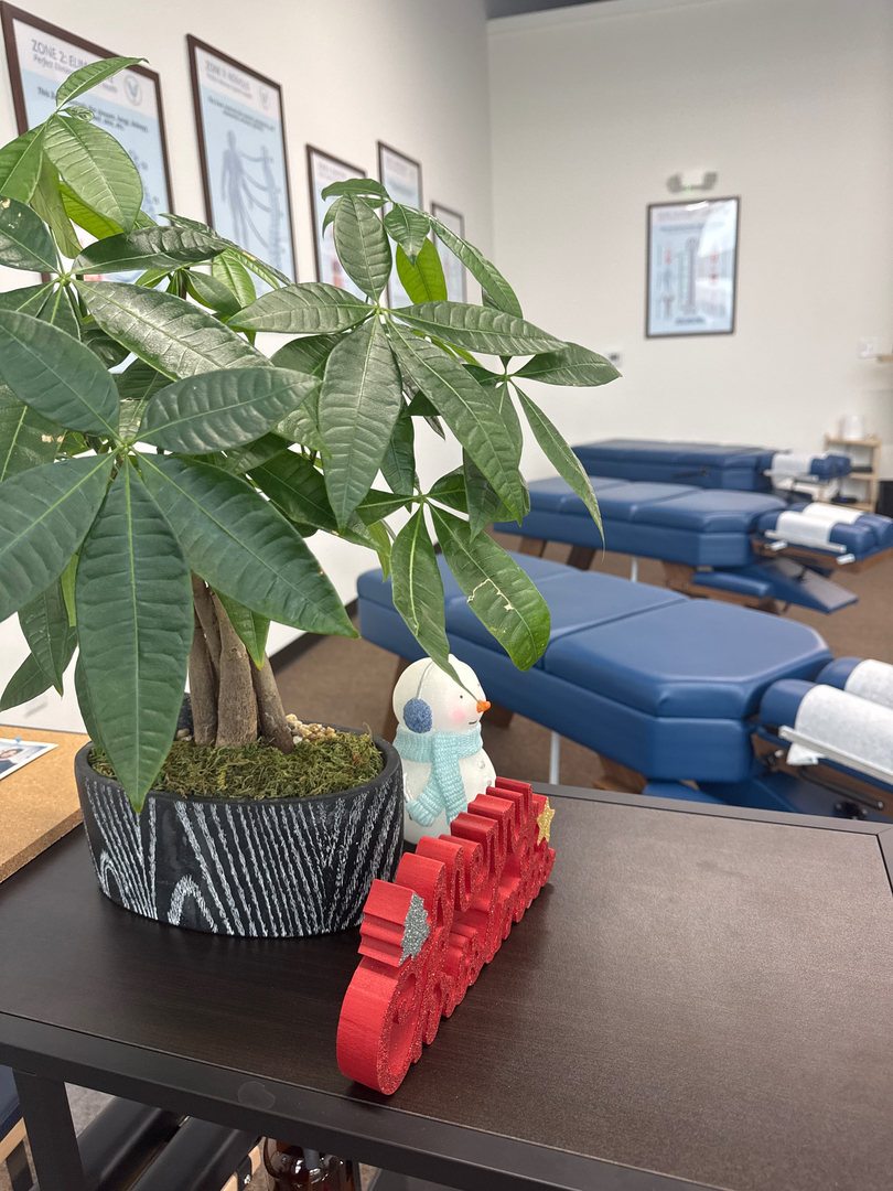 Vita Nova Chiropractic Image