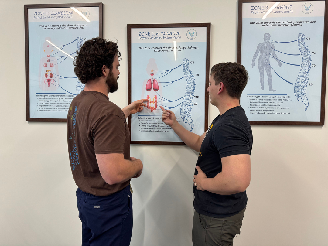 Vita Nova Chiropractic Image
