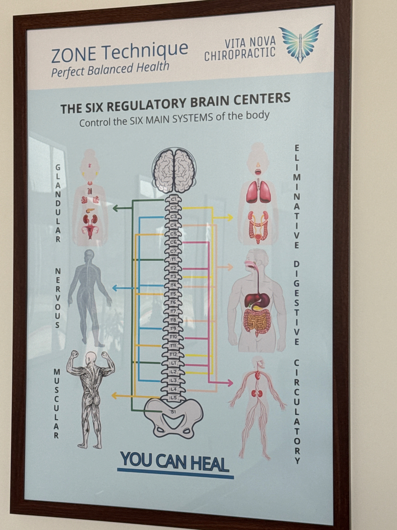 Vita Nova Chiropractic Image