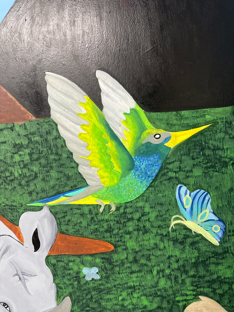 Vita Nova Chiropractic Image