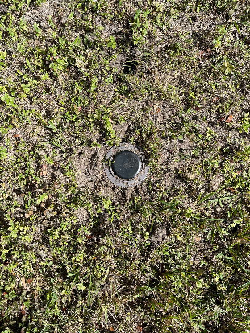 Royal Pest &amp; Termite Logo