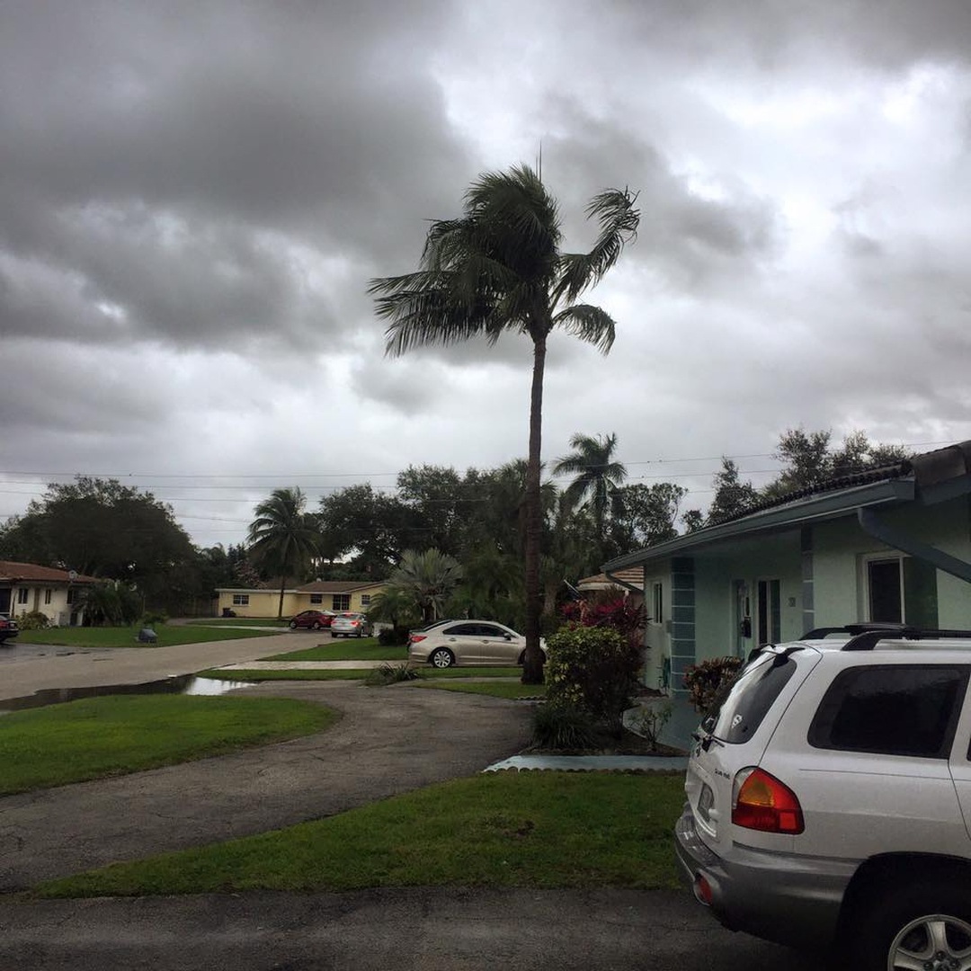 Royal Pest & Termite Image