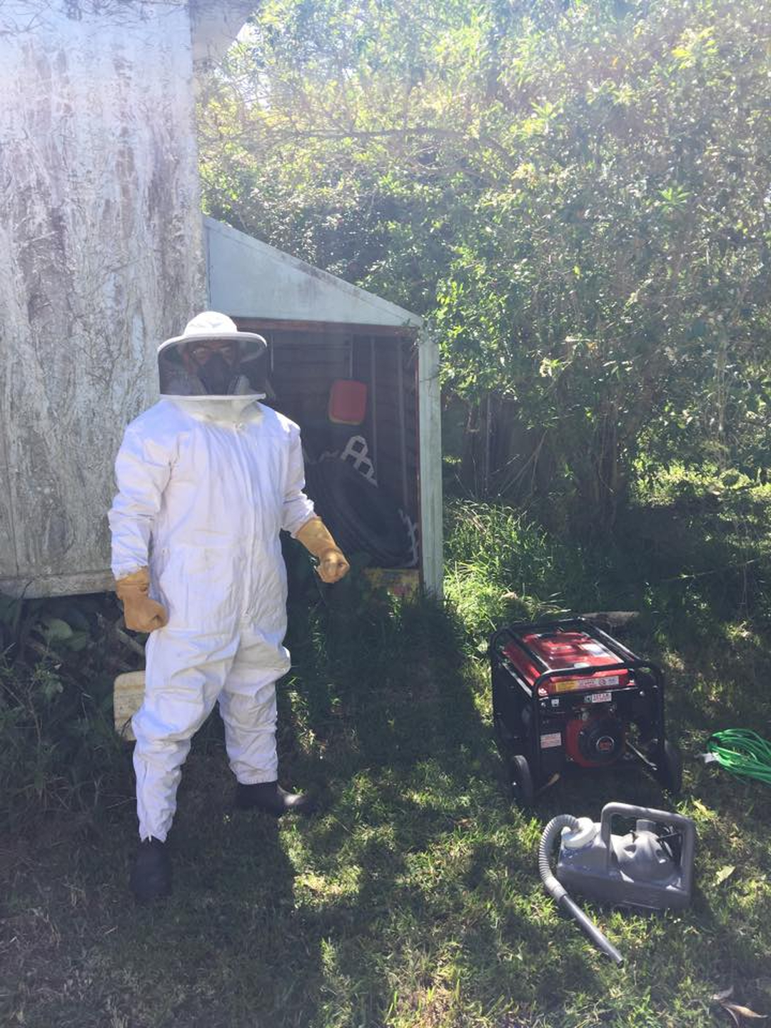 Royal Pest & Termite Image