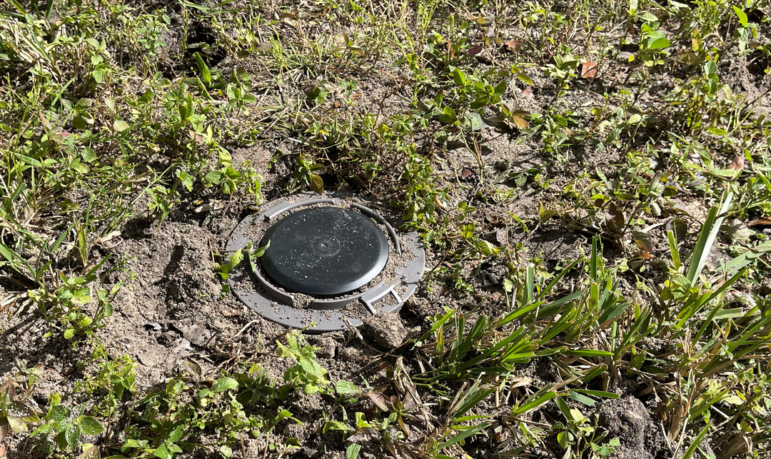 Royal Pest & Termite Image