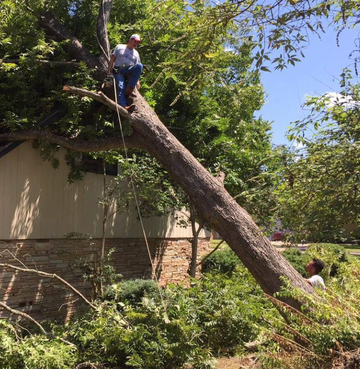 Aggieland Tree Service - College Station, TX