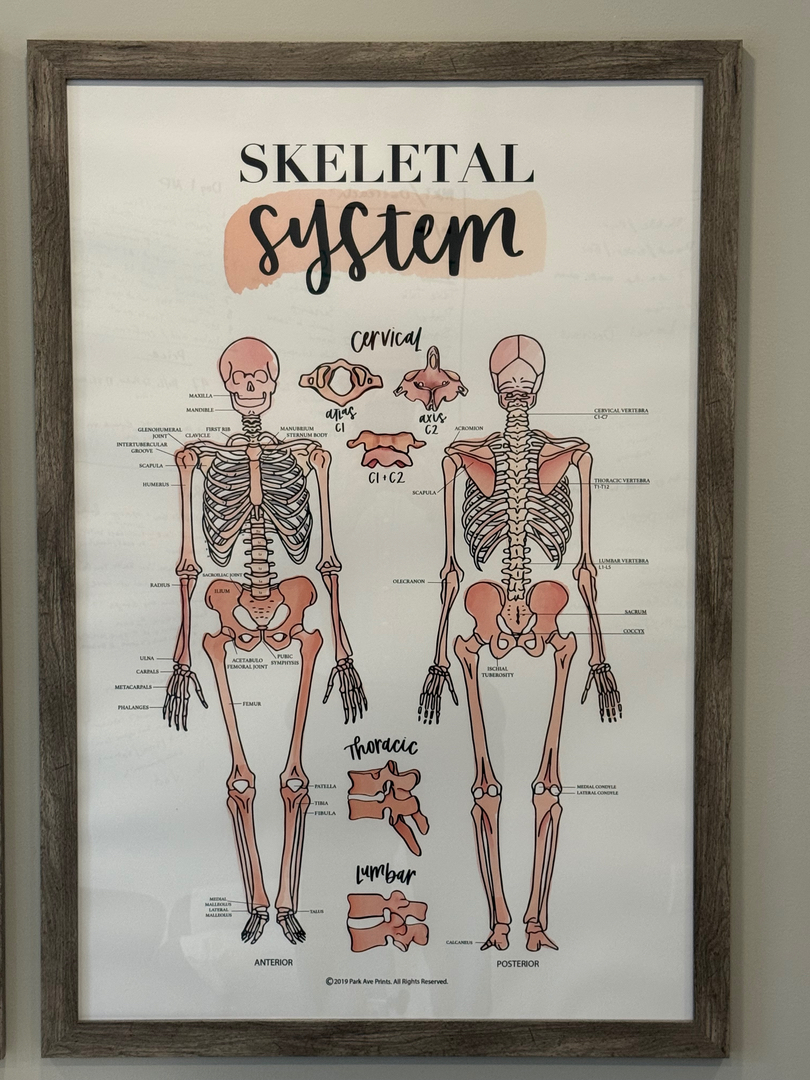 Husk Chiropractic - Cumming, GA