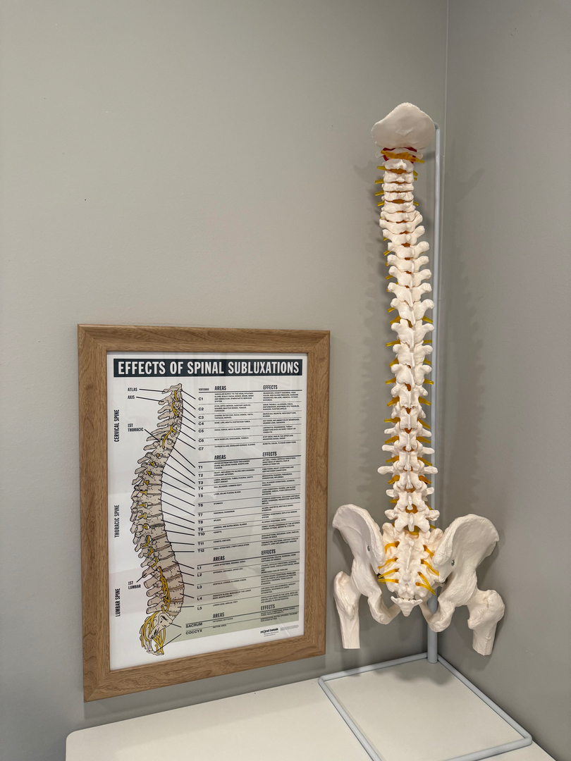 Husk Chiropractic - Cumming, GA