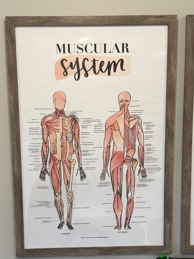 Husk Chiropractic - Cumming, GA