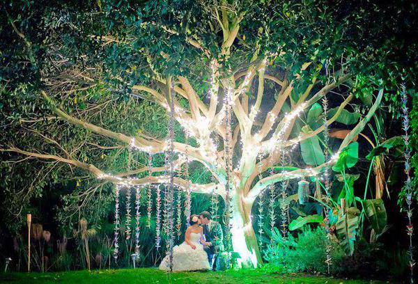 Fonyat Wedding Photographer Image
