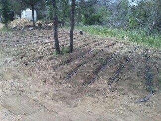 Bumble-B Septic Services - Huntsville, TX