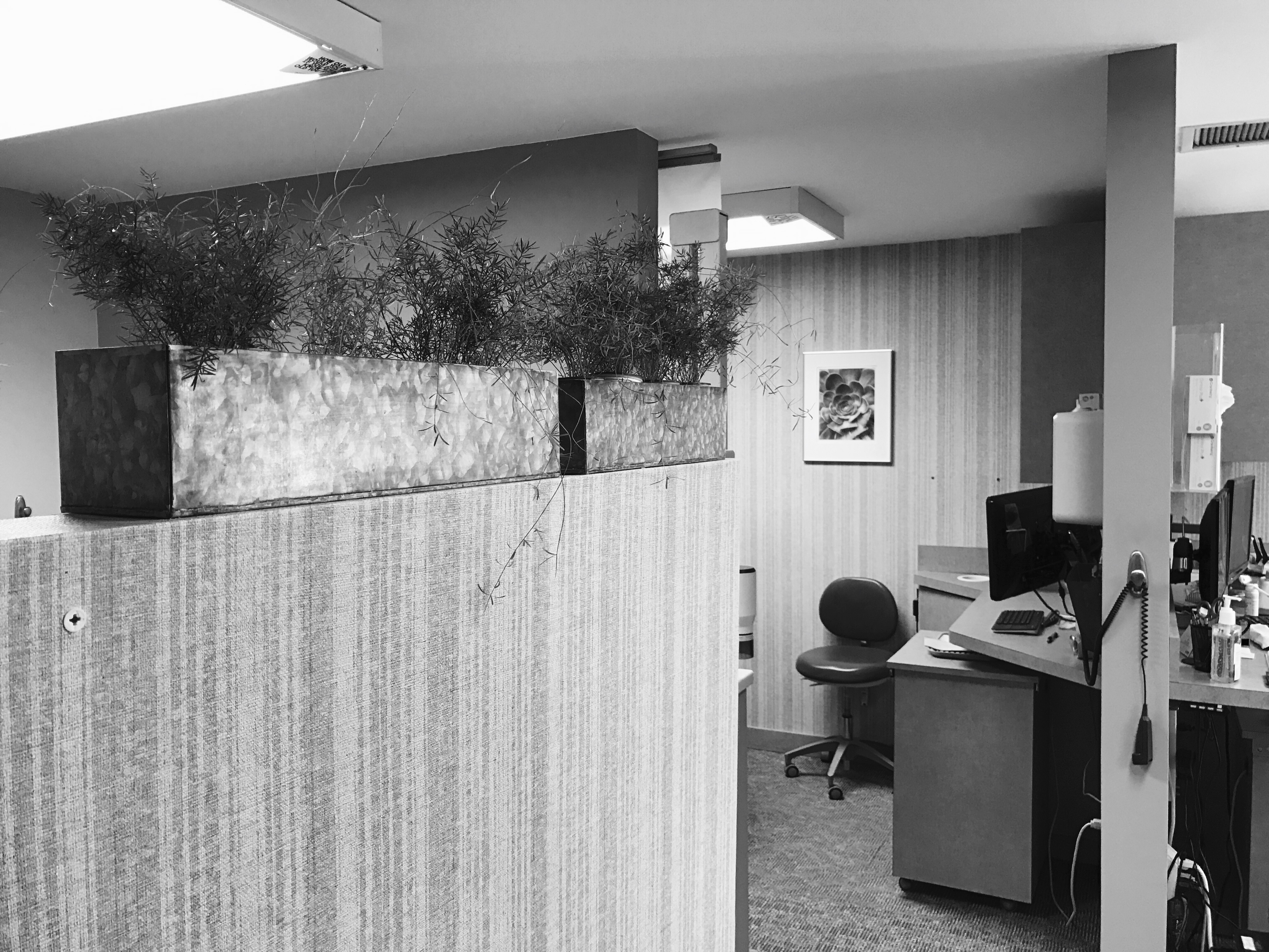 Dental Implant Center at Walnut Creek Image