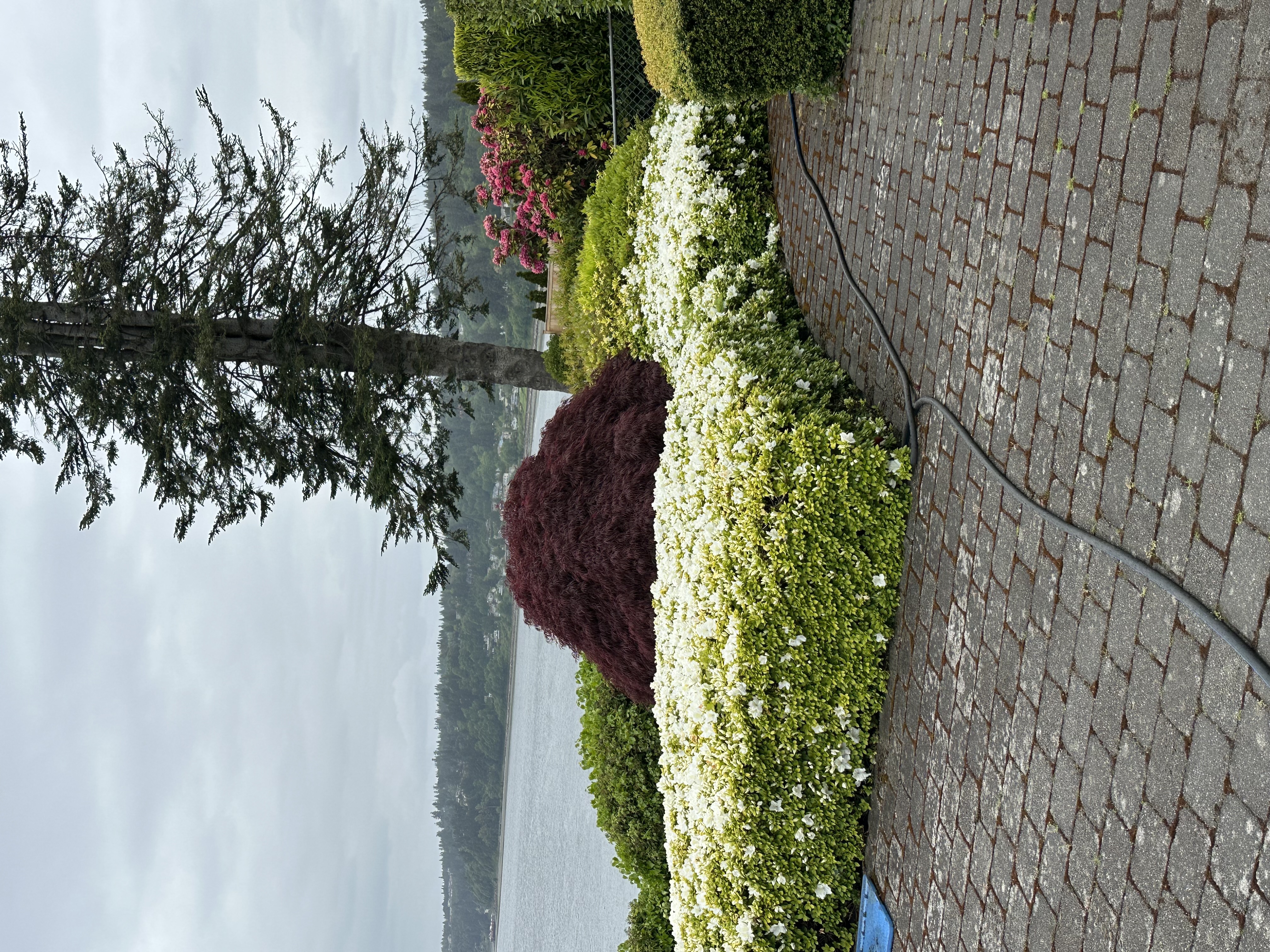 Snohomish Pest Control Image