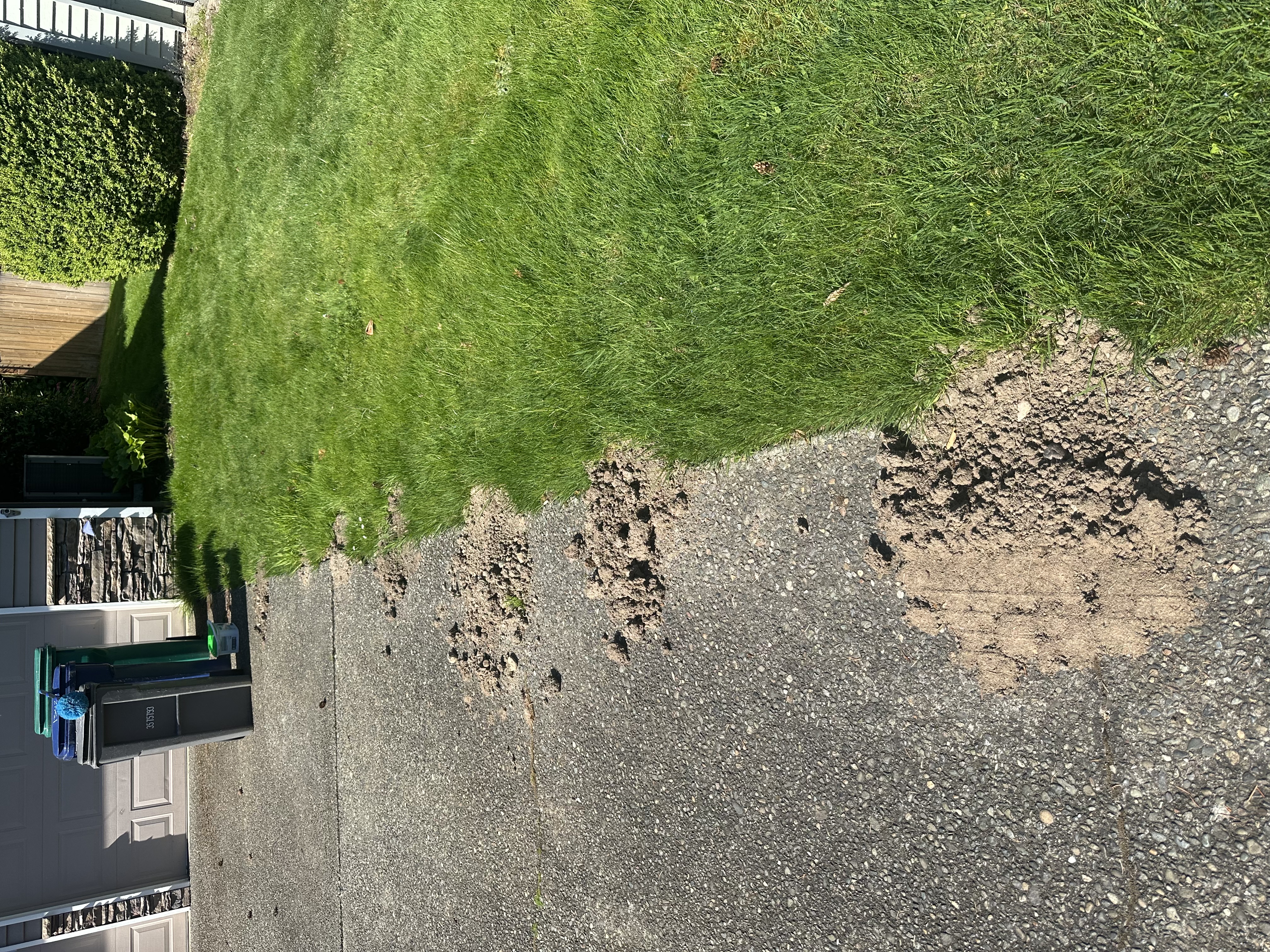 Snohomish Pest Control Image