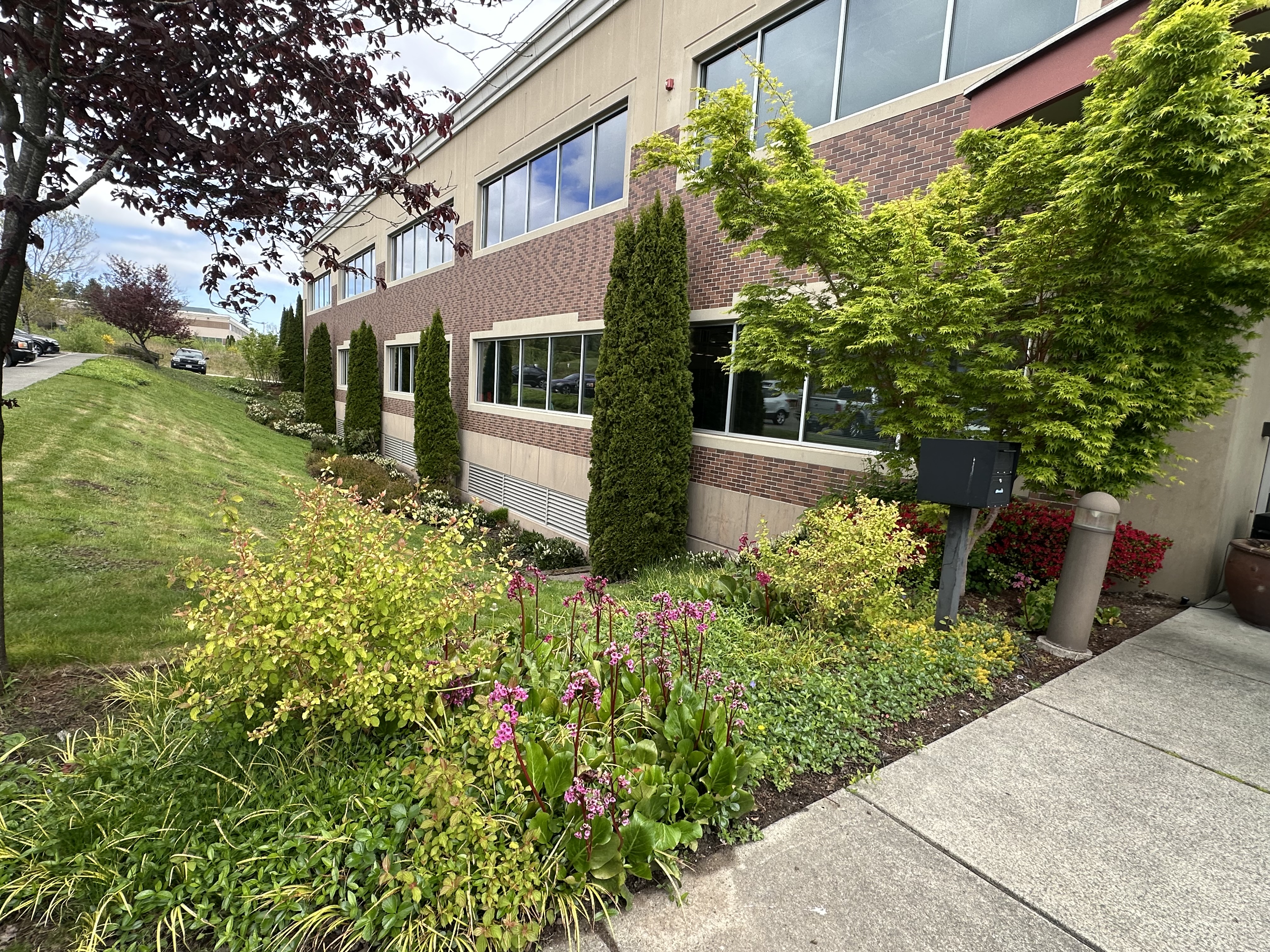 Snohomish Pest Control Image