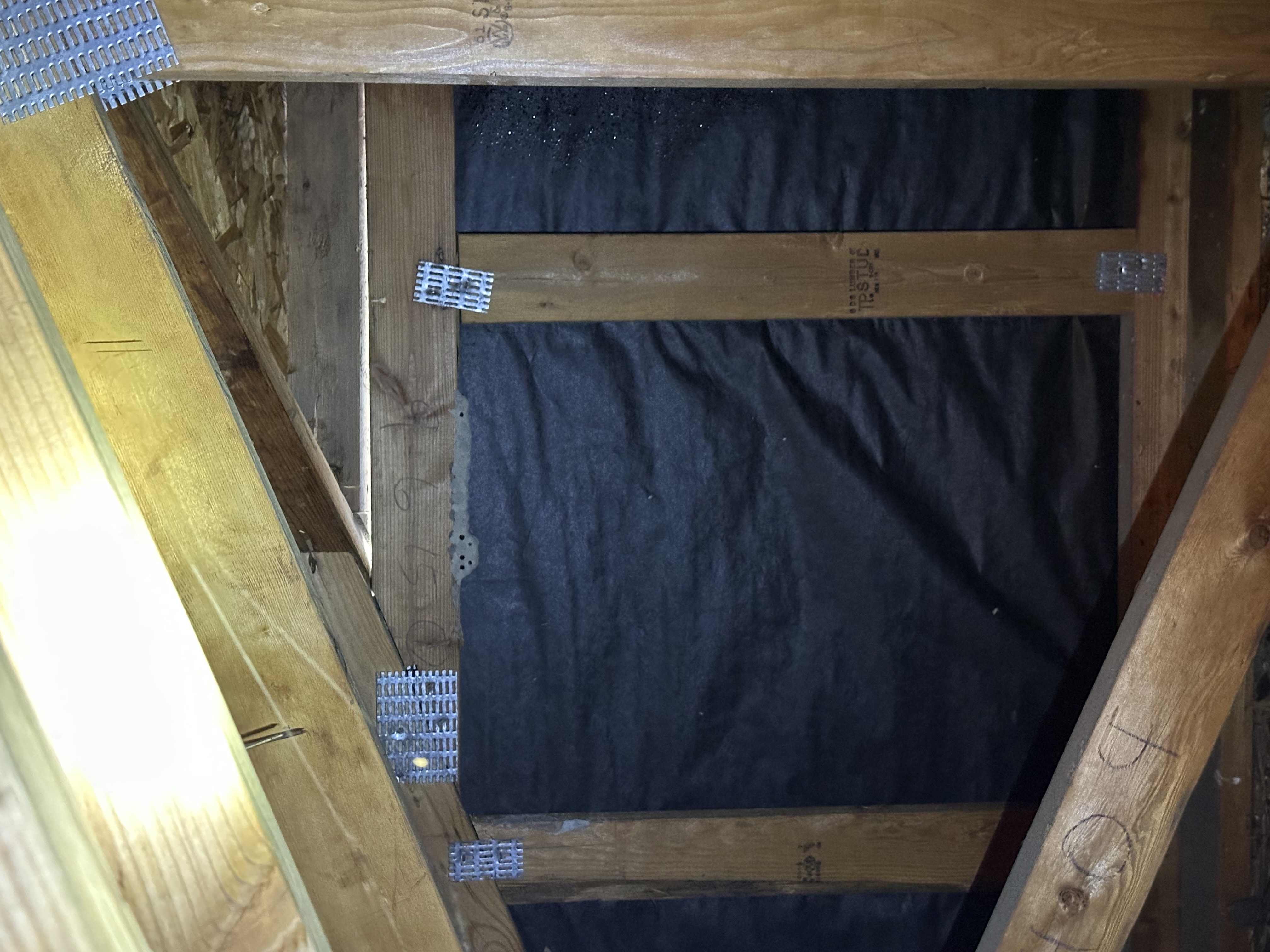 Snohomish Pest Control Image