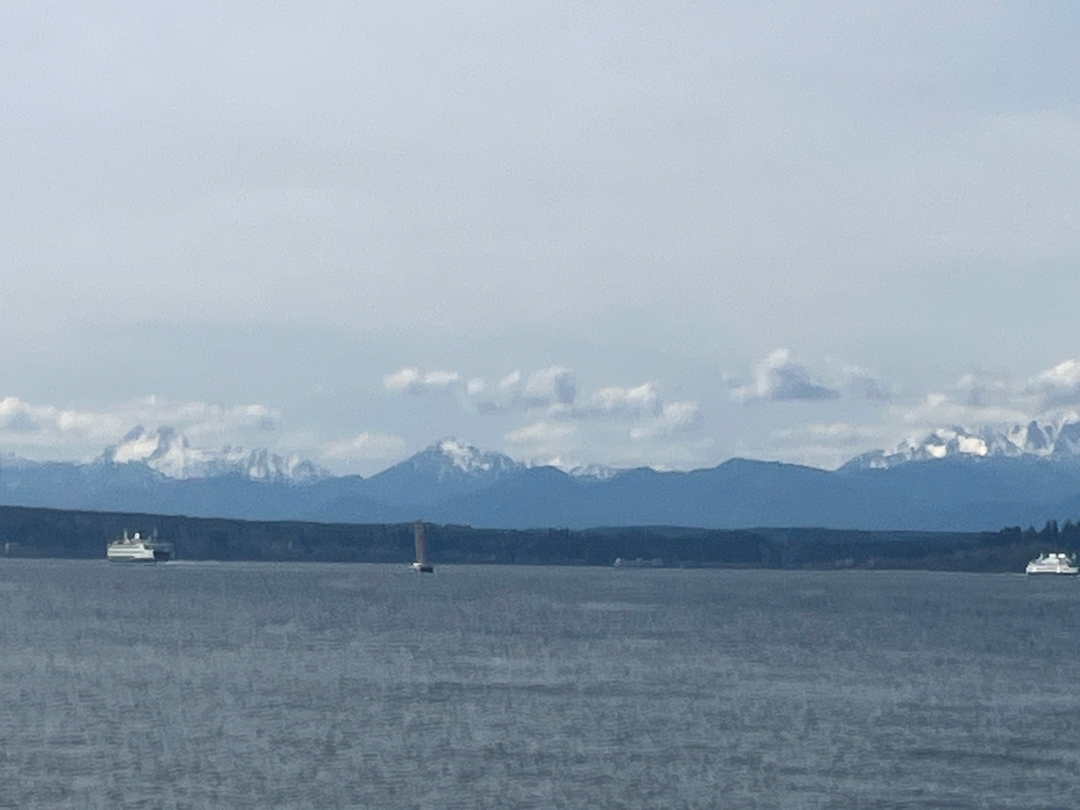 Snohomish Pest Control Image