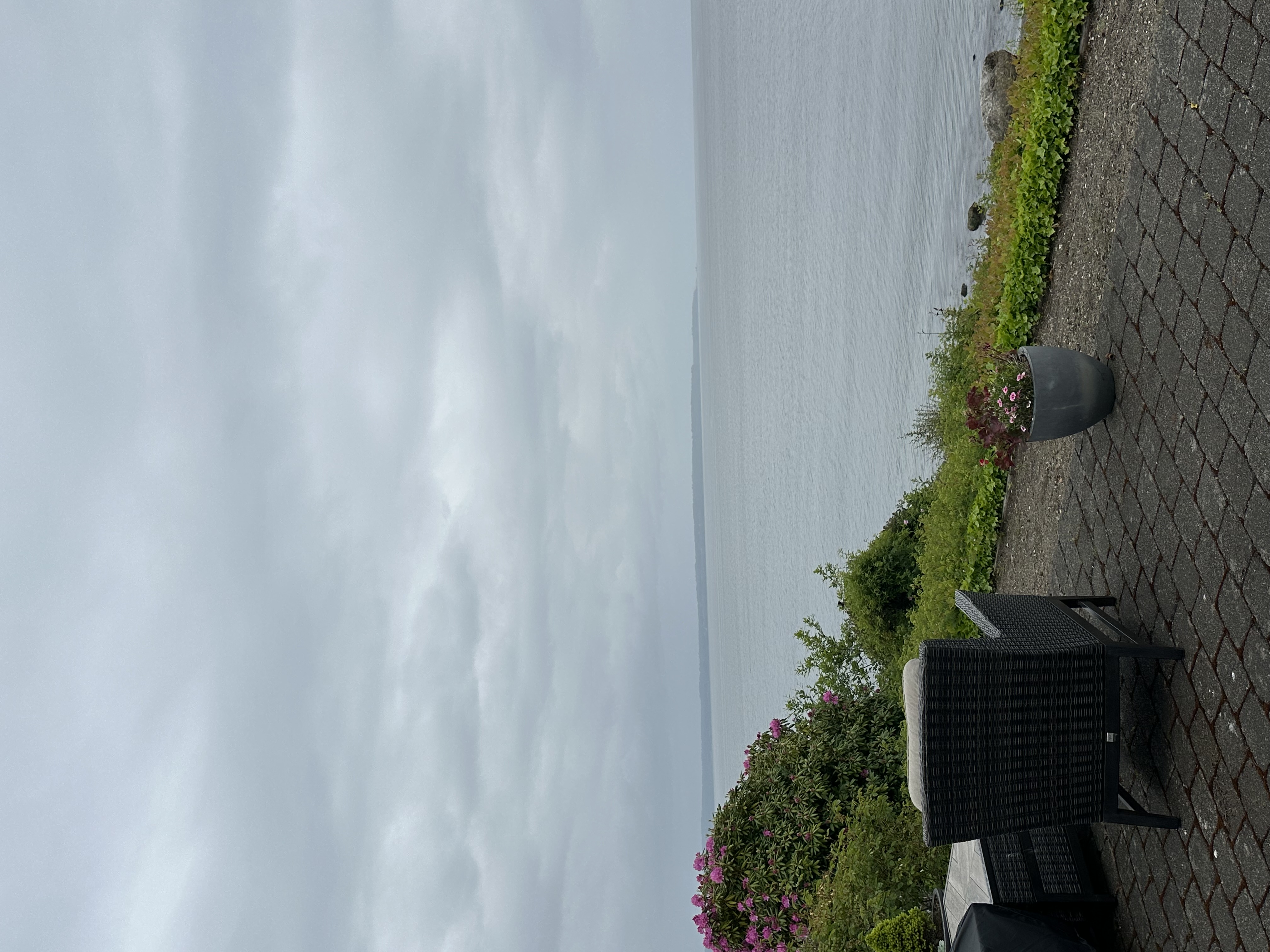 Snohomish Pest Control Image