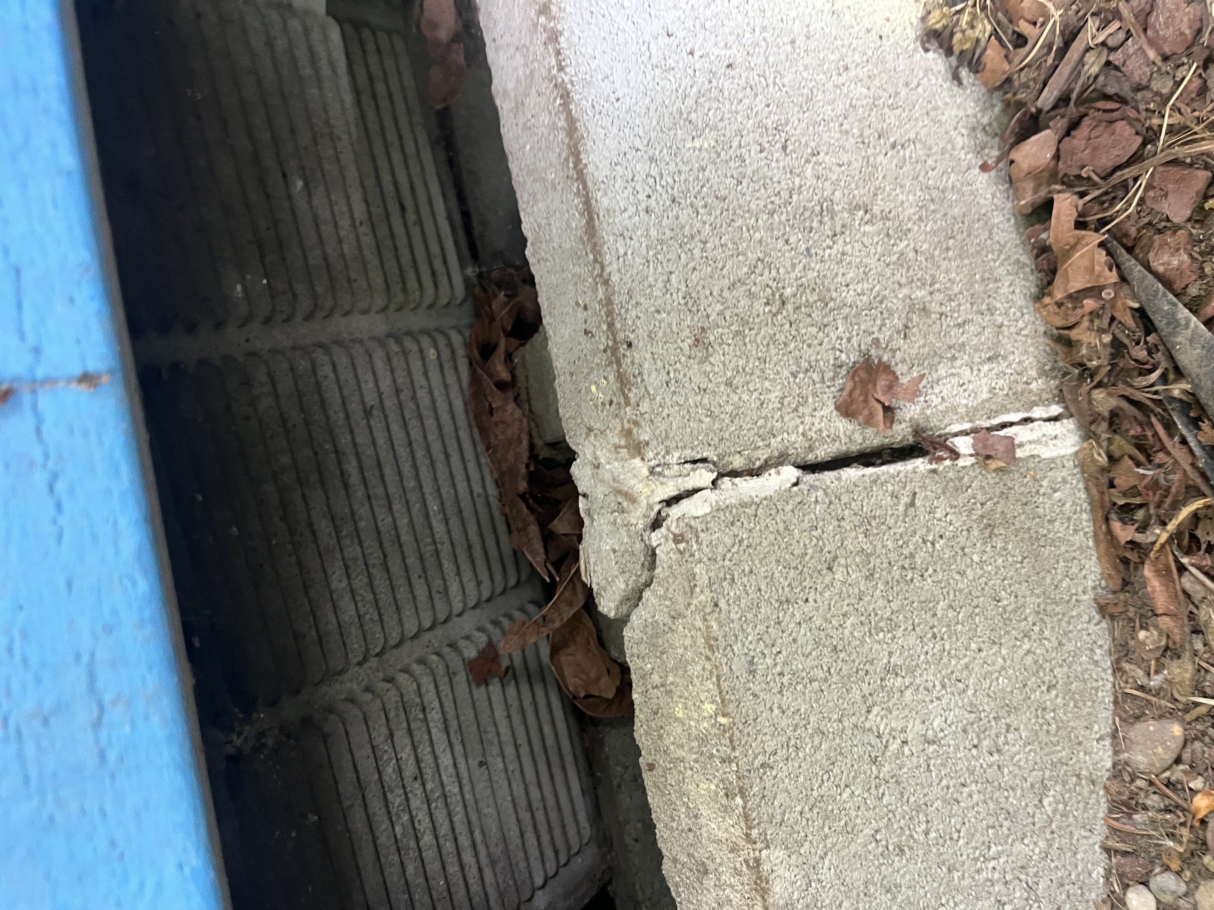 Snohomish Pest Control Image