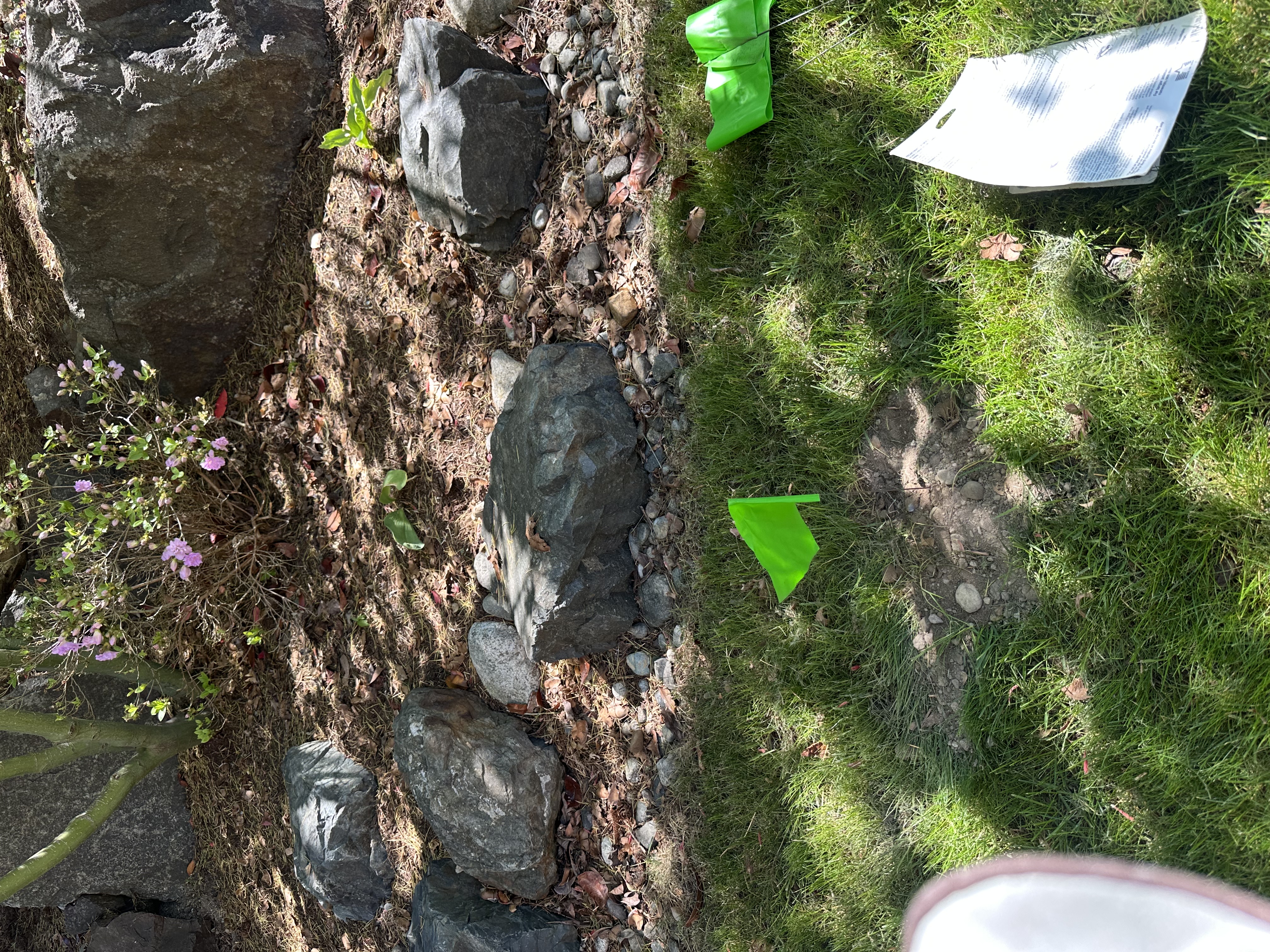 Snohomish Pest Control Image