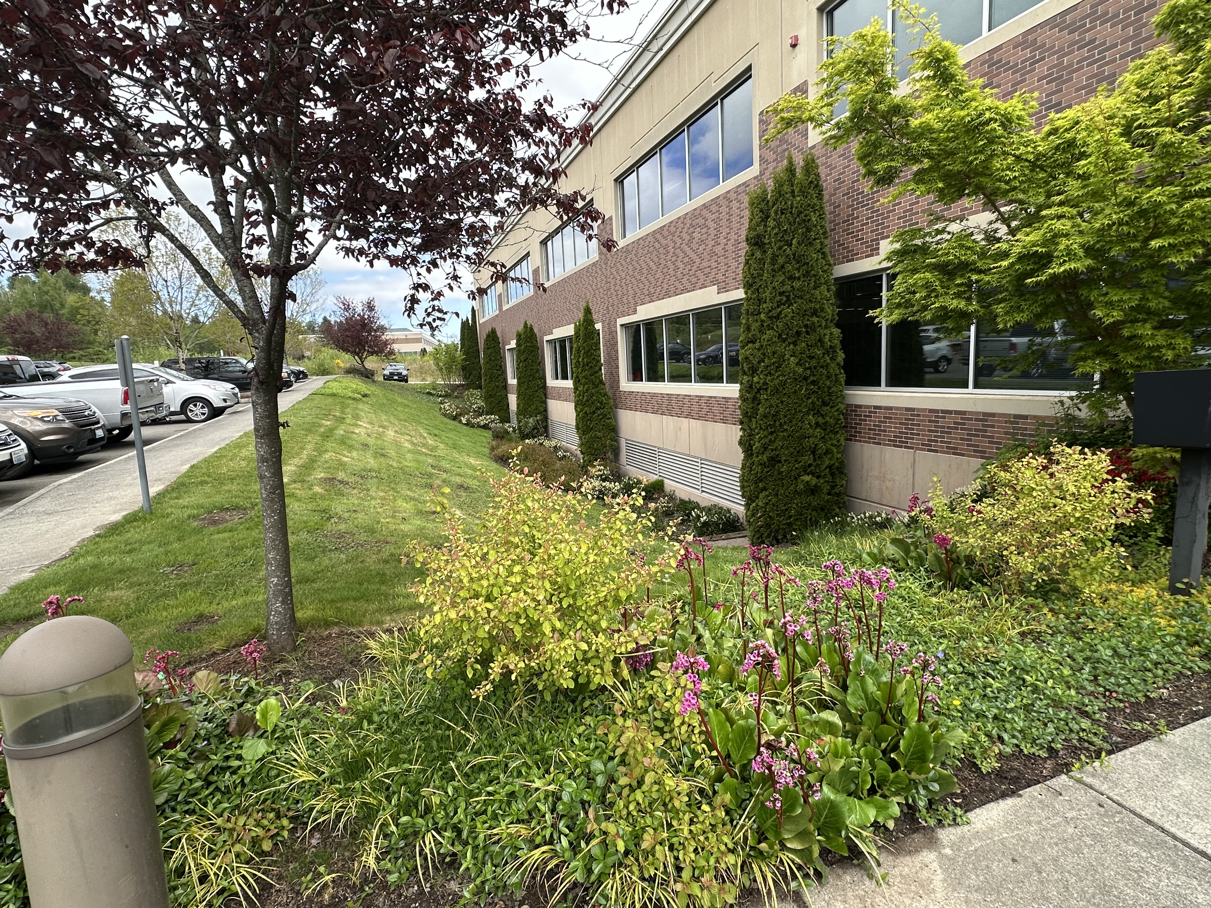 Snohomish Pest Control Image