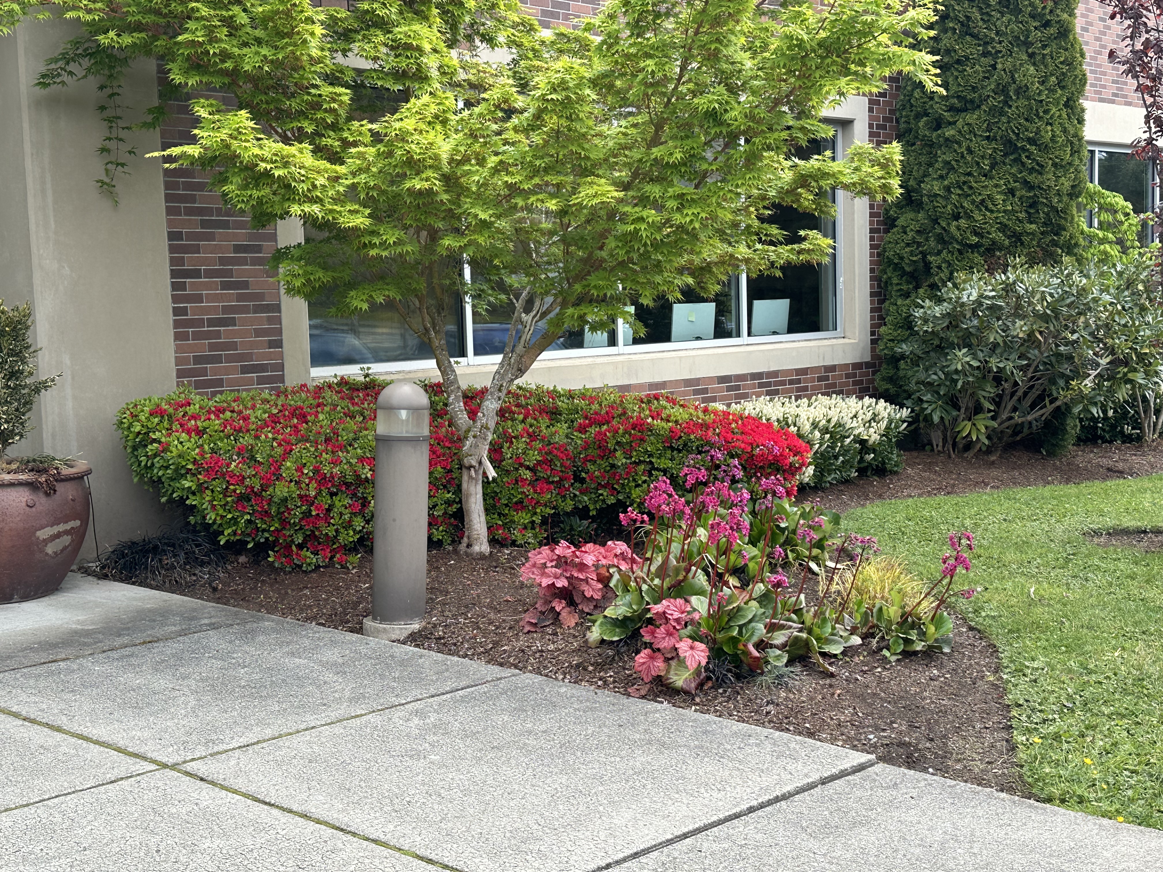 Snohomish Pest Control Image