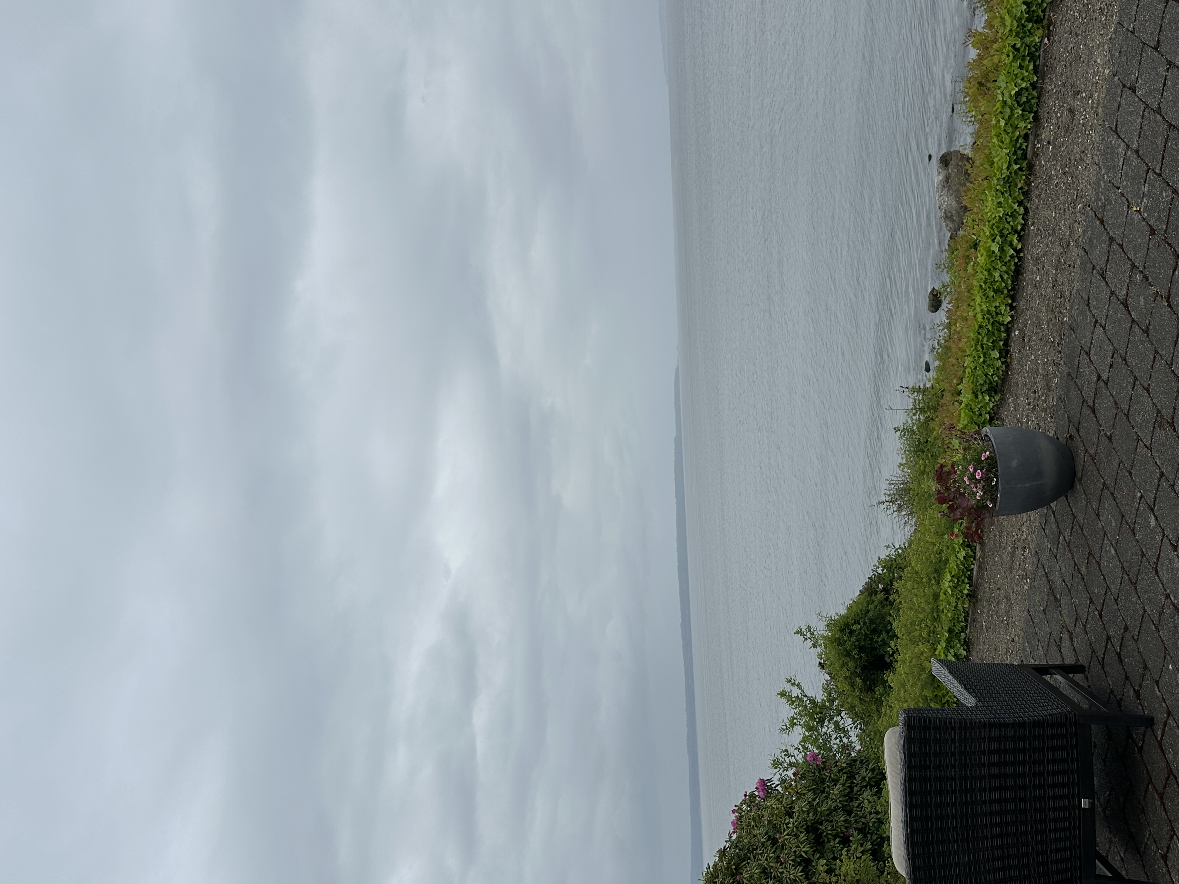 Snohomish Pest Control Image