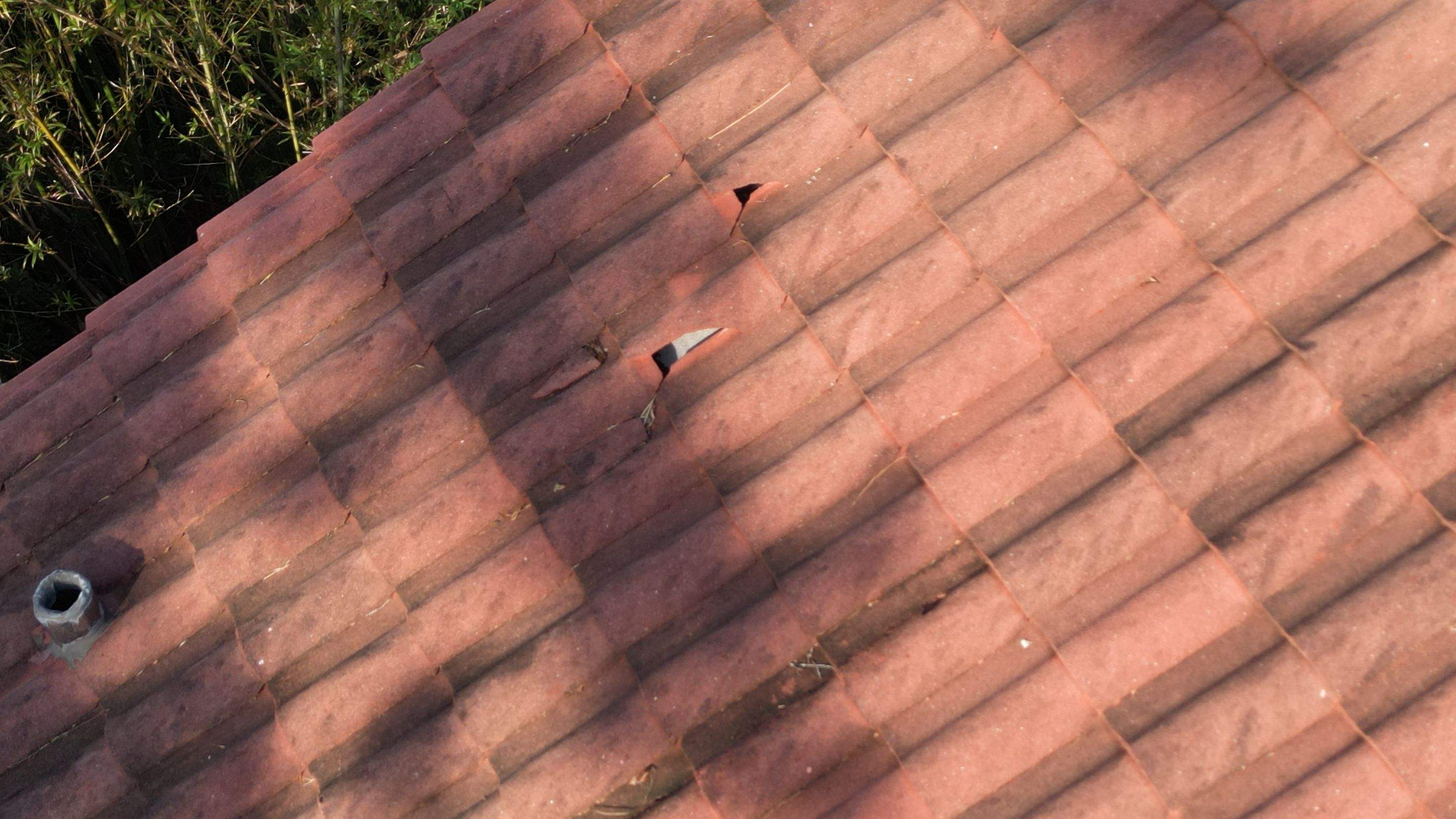 SB Pro Roofing - Sarasota, FL